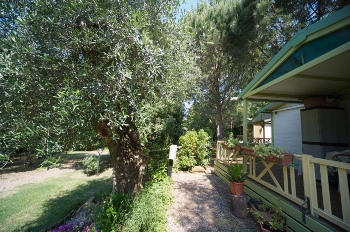 zobacz camping - zdjęcie 29