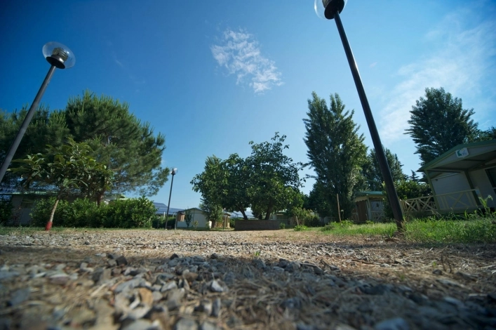 zobacz camping - zdjęcie 19