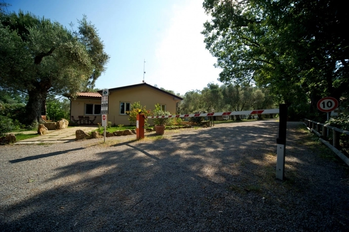 zobacz camping - zdjęcie 10