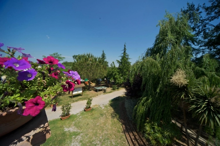 zobacz camping - zdjęcie 6