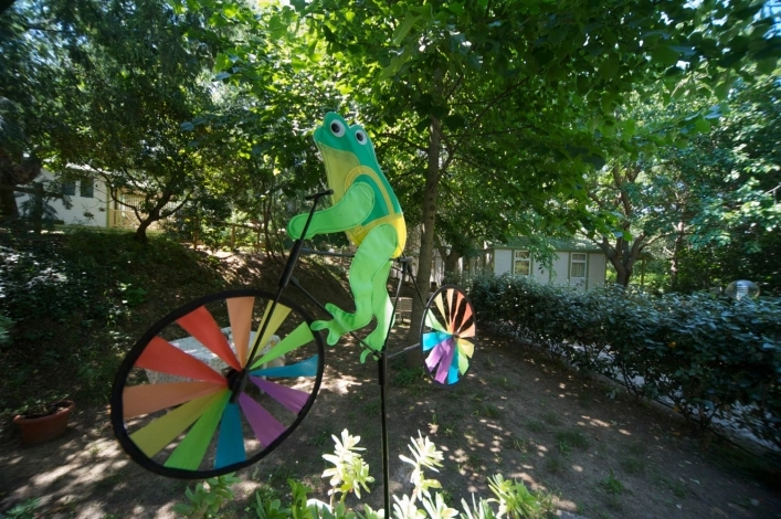 zobacz camping - zdjęcie 3