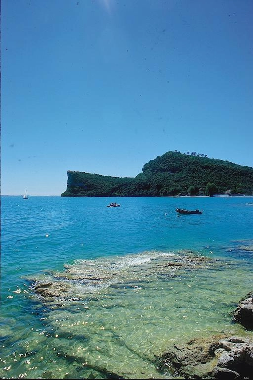 zobacz camping - zdjęcie 21