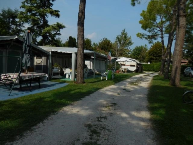 Garden Tourist - zdjęcie 3