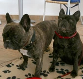 zobacz camping - zdjęcie 33