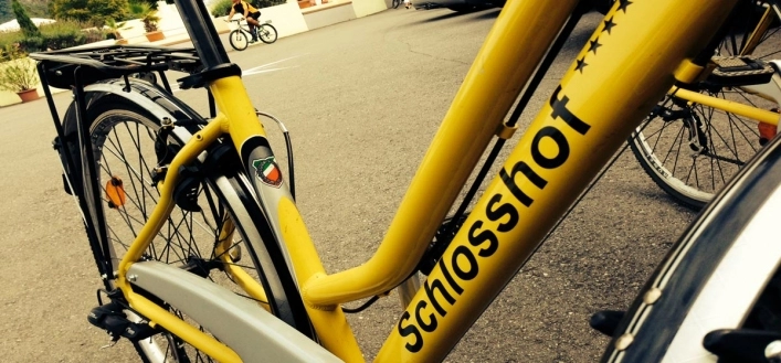 Genießer- & Komfortcamping Schlosshof****Superior - zdjęcie 1