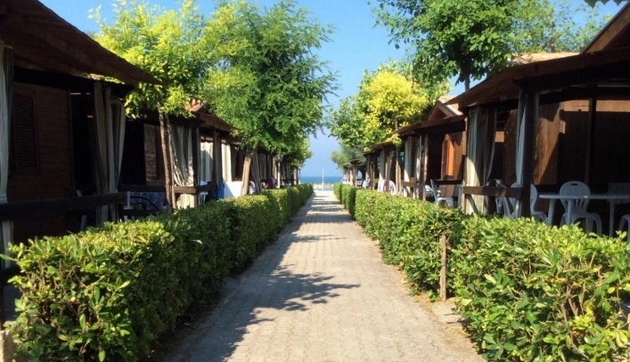 zobacz camping - zdjęcie 25