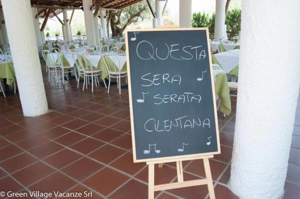 zobacz camping - zdjęcie 22