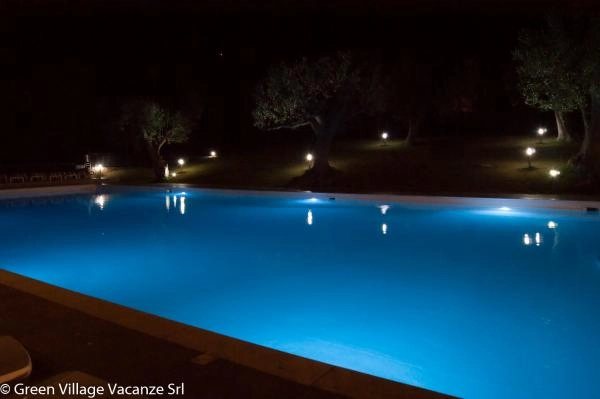 zobacz camping - zdjęcie 21