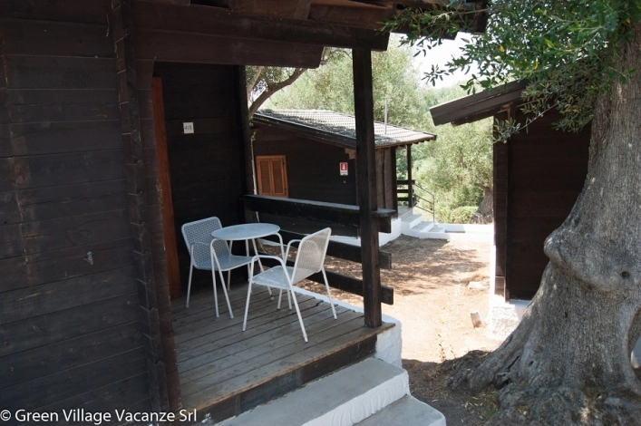 zobacz camping - zdjęcie 17