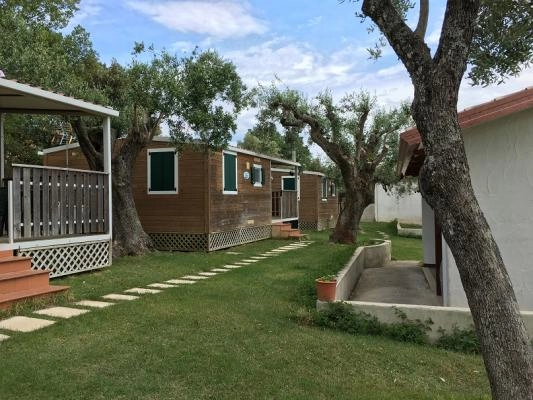 zobacz camping - zdjęcie 16