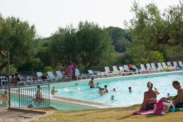 zobacz camping - zdjęcie 15