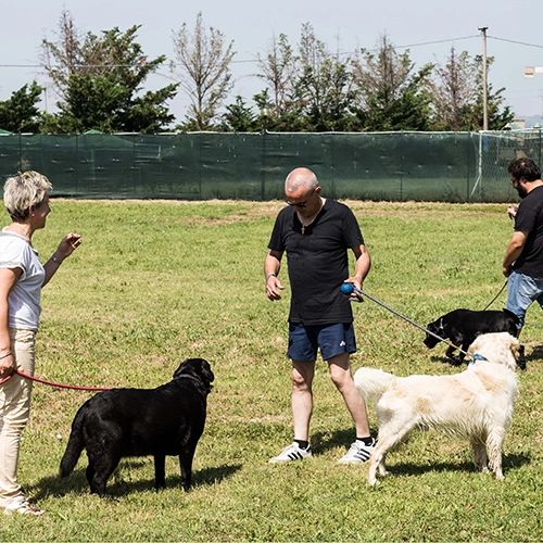 zobacz camping - zdjęcie 16