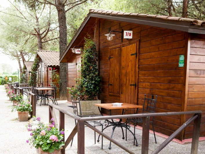 zobacz camping - zdjęcie 12