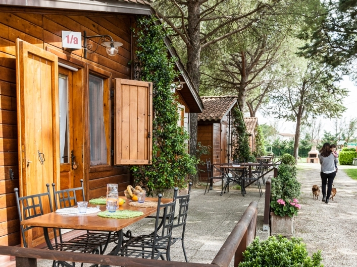 zobacz camping - zdjęcie 11