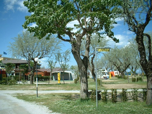 zobacz camping - zdjęcie 14