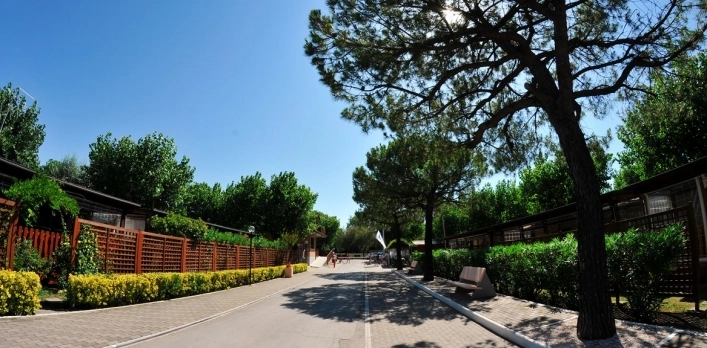 Happy Camping Village - zdjęcie 3