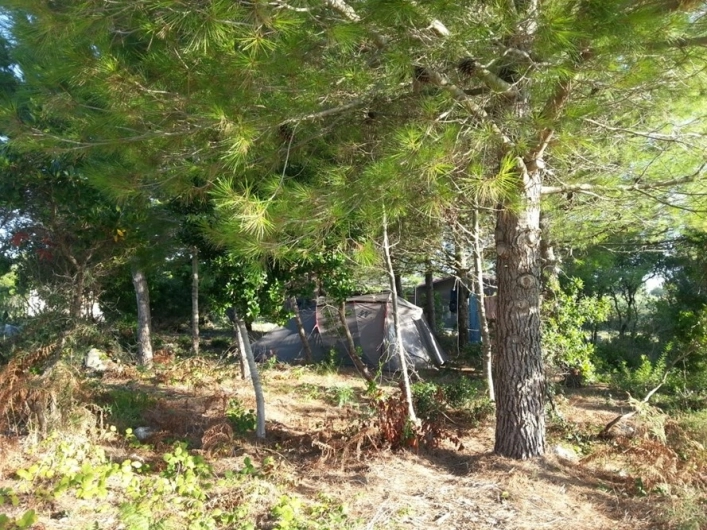 zobacz camping - zdjęcie 20