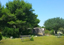 zobacz camping - zdjęcie 8