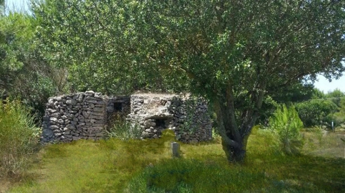 zobacz camping - zdjęcie 6