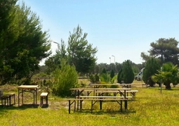 zobacz camping - zdjęcie 4