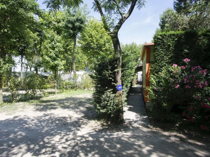 zobacz camping - zdjęcie 38