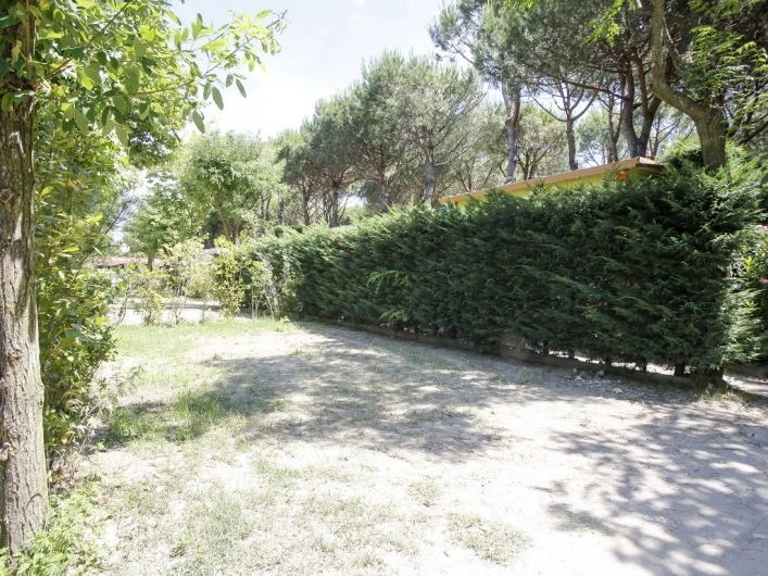 zobacz camping - zdjęcie 5