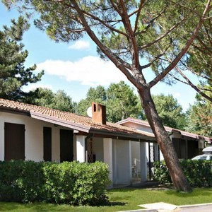 zobacz camping - zdjęcie 12