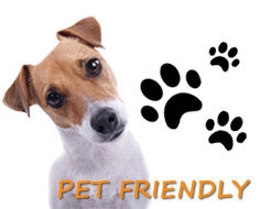 zobacz camping - zdjęcie 7