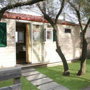 zobacz camping - zdjęcie 6