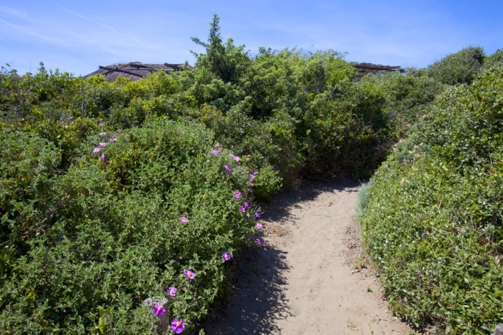 zobacz camping - zdjęcie 32