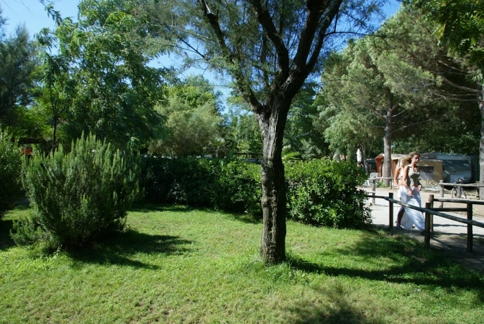 zobacz camping - zdjęcie 19