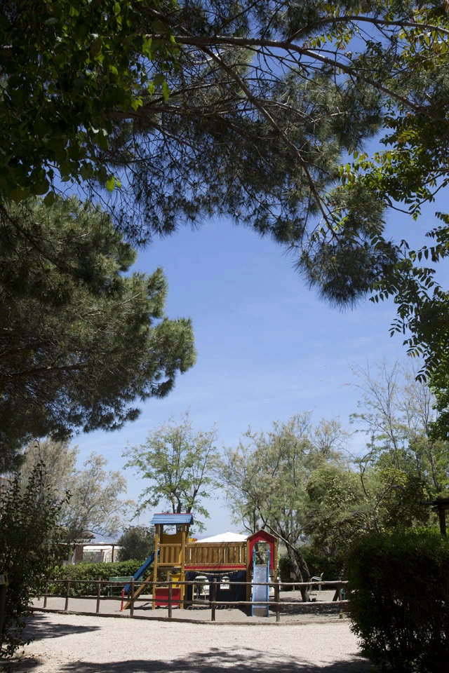 zobacz camping - zdjęcie 16