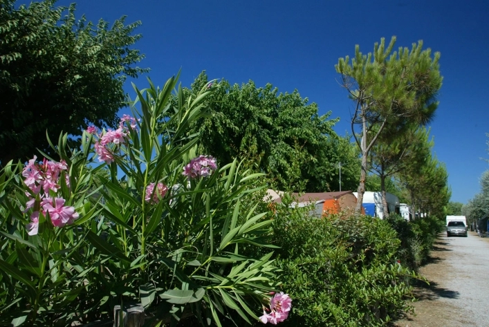 zobacz camping - zdjęcie 2