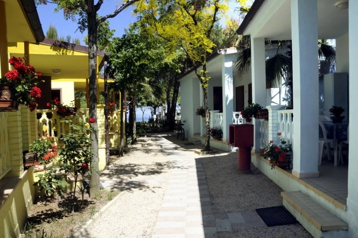 zobacz camping - zdjęcie 13