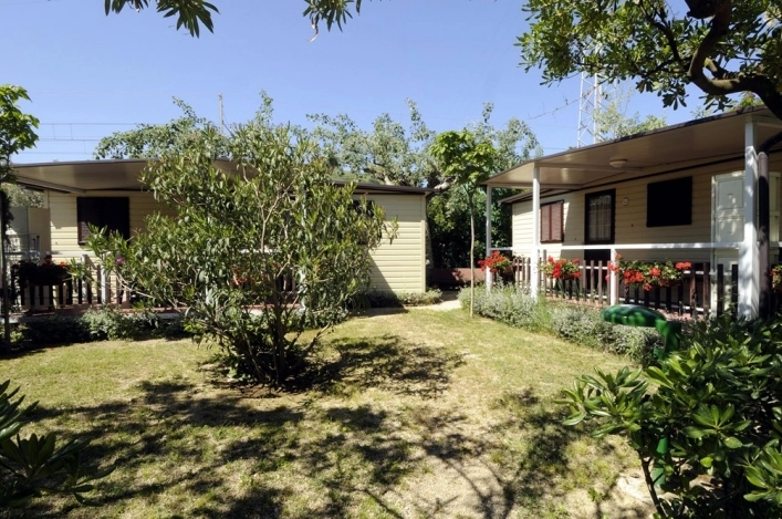 zobacz camping - zdjęcie 12