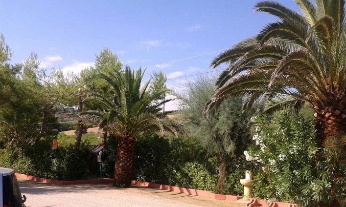 zobacz camping - zdjęcie 10