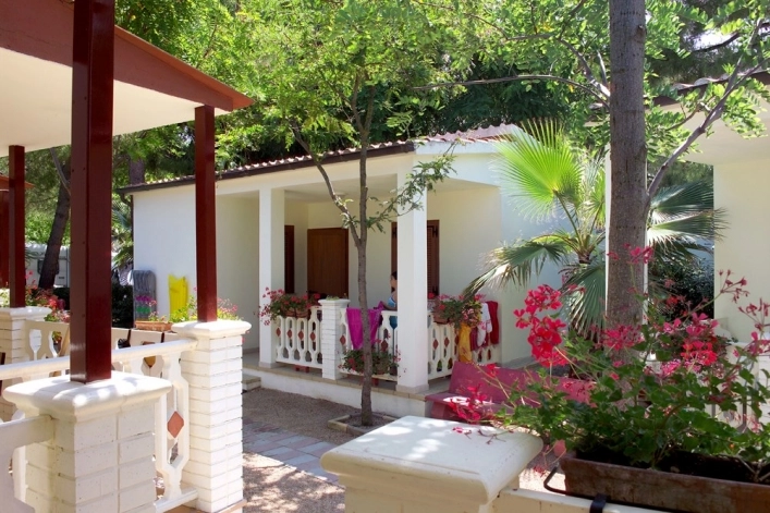 zobacz camping - zdjęcie 9