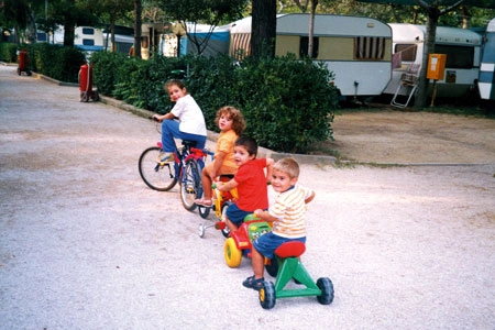 zobacz camping - zdjęcie 4