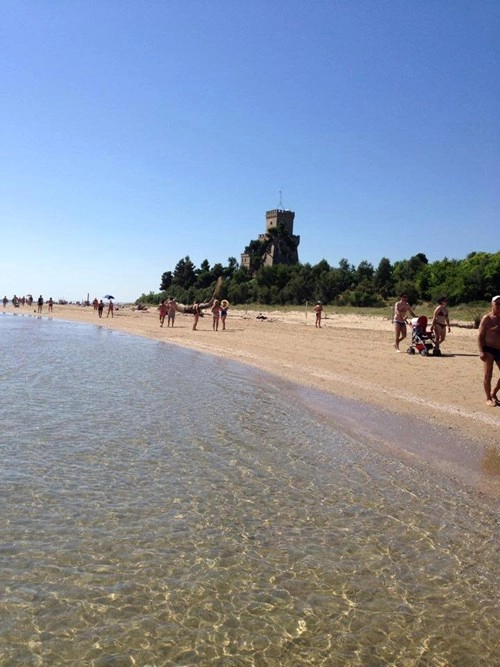 International  Camping Torre Cerrano - zdjęcie 1