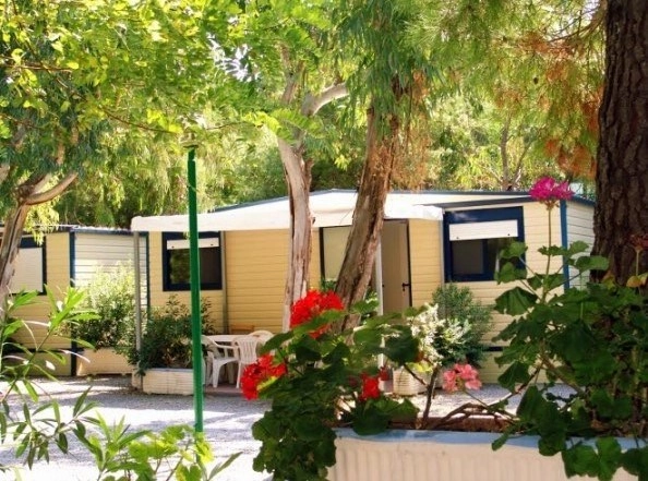 International Camping Village - zdjęcie 1