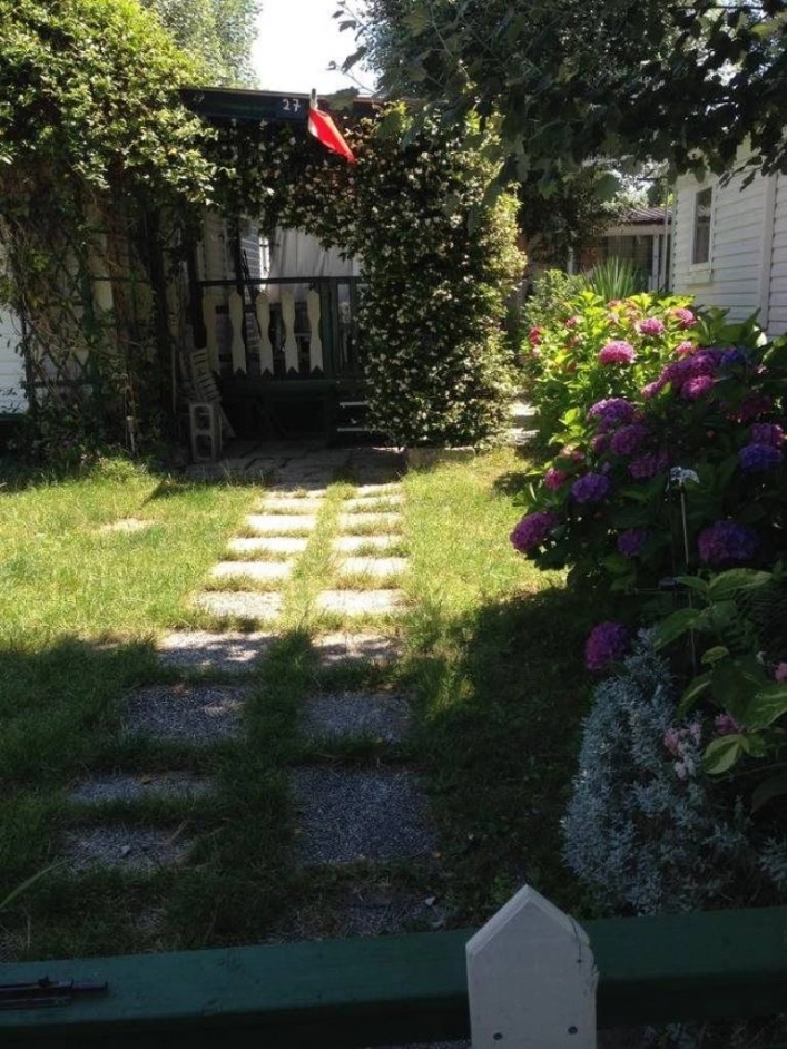 International Sport Camping - zdjęcie 4