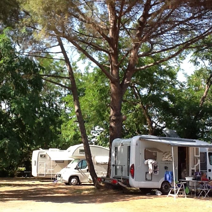 zobacz camping - zdjęcie 23