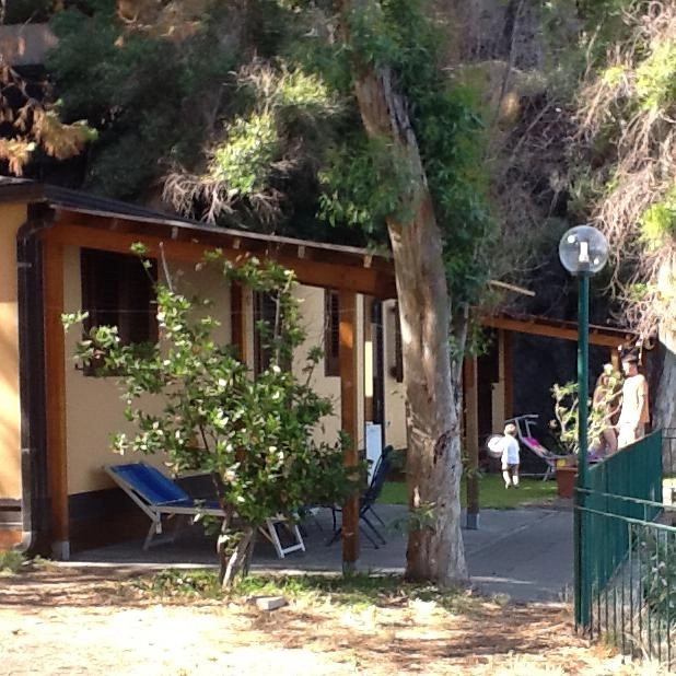 zobacz camping - zdjęcie 22