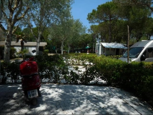 zobacz camping - zdjęcie 16