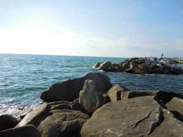 zobacz camping - zdjęcie 6