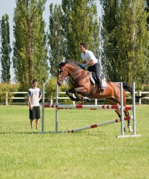 zobacz camping - zdjęcie 56