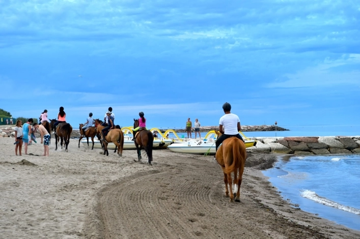 zobacz camping - zdjęcie 47