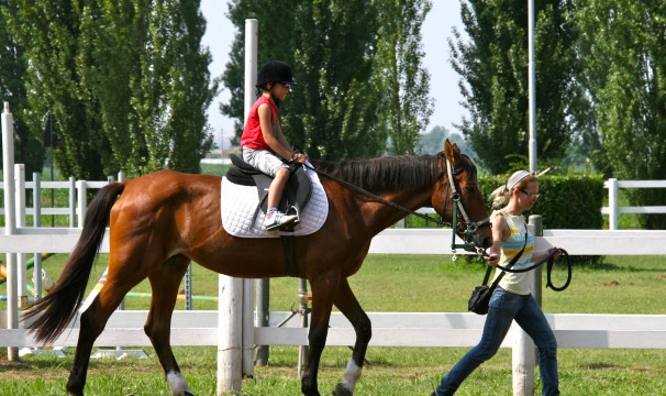 zobacz camping - zdjęcie 22