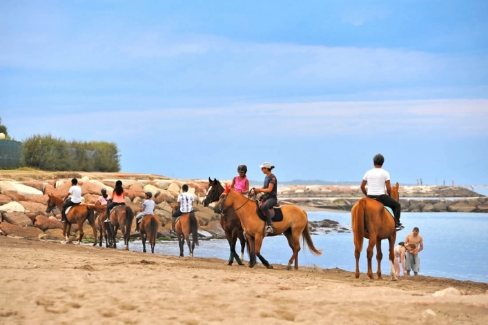 zobacz camping - zdjęcie 19