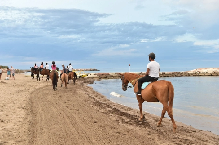 zobacz camping - zdjęcie 15